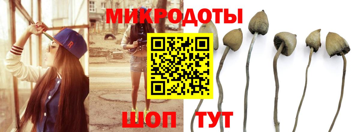 Бахчисарай  Галлюциногенные грибы Psilocybine cubensis  Вход с VPN  купить закладку  Псилоцибиновые грибы Psilocybe 